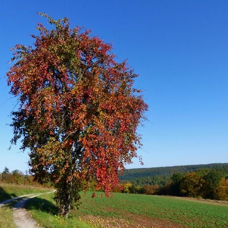 Blumenschein-Ferienwohnung Unne Kirchzell Kültér fotó