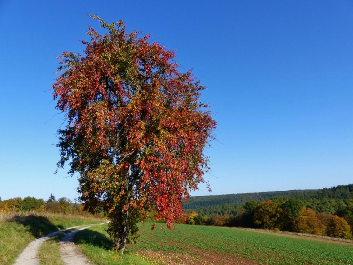 Blumenschein-Ferienwohnung Unne Kirchzell Kültér fotó