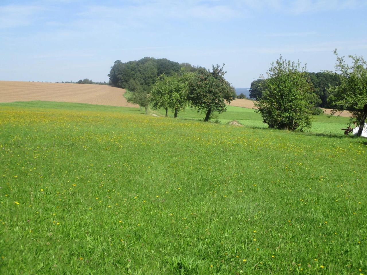Blumenschein-Ferienwohnung Unne Kirchzell Kültér fotó
